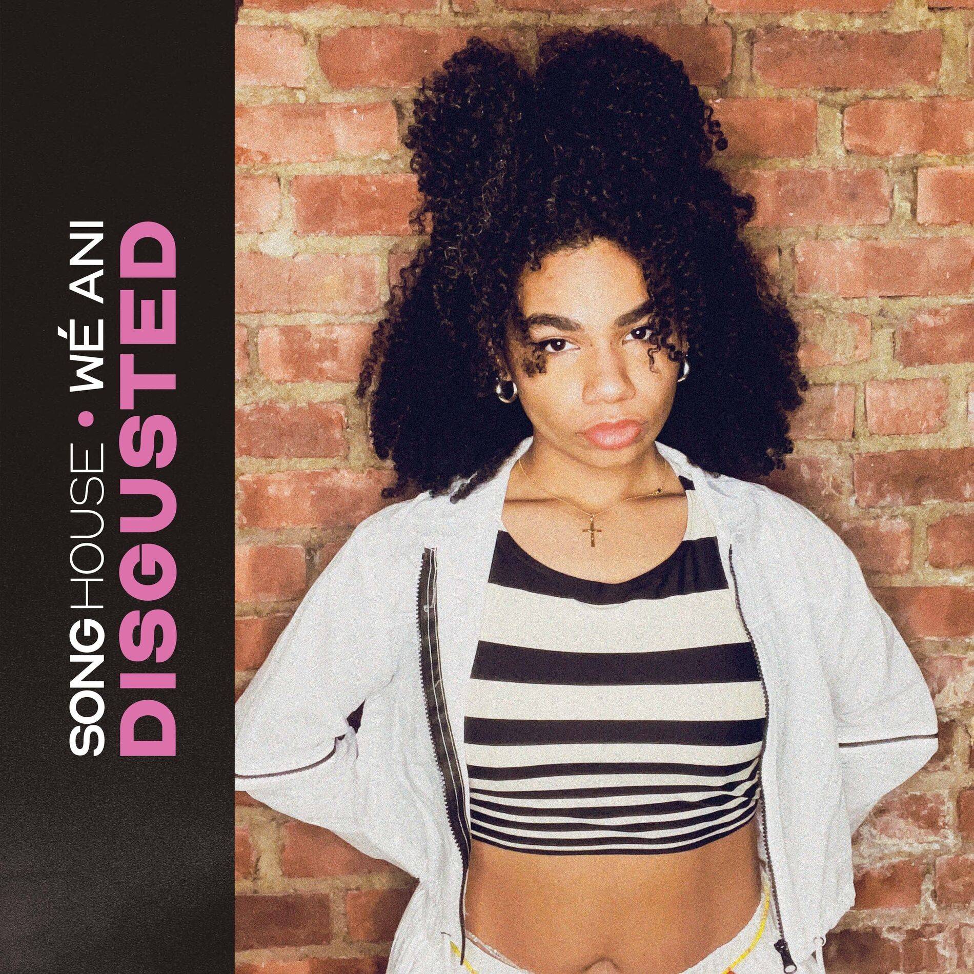 Album cover of Disgusted