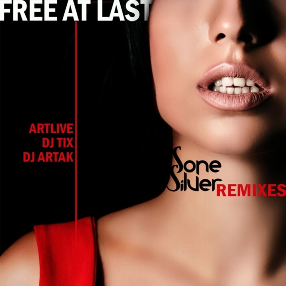 Picture of Free At Last Remixes