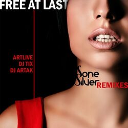 Cover of Free At Last Remixes