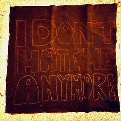 Cover of I DON'T HATE ME ANYMORE
