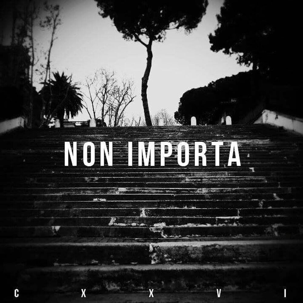 Picture of Non Importa