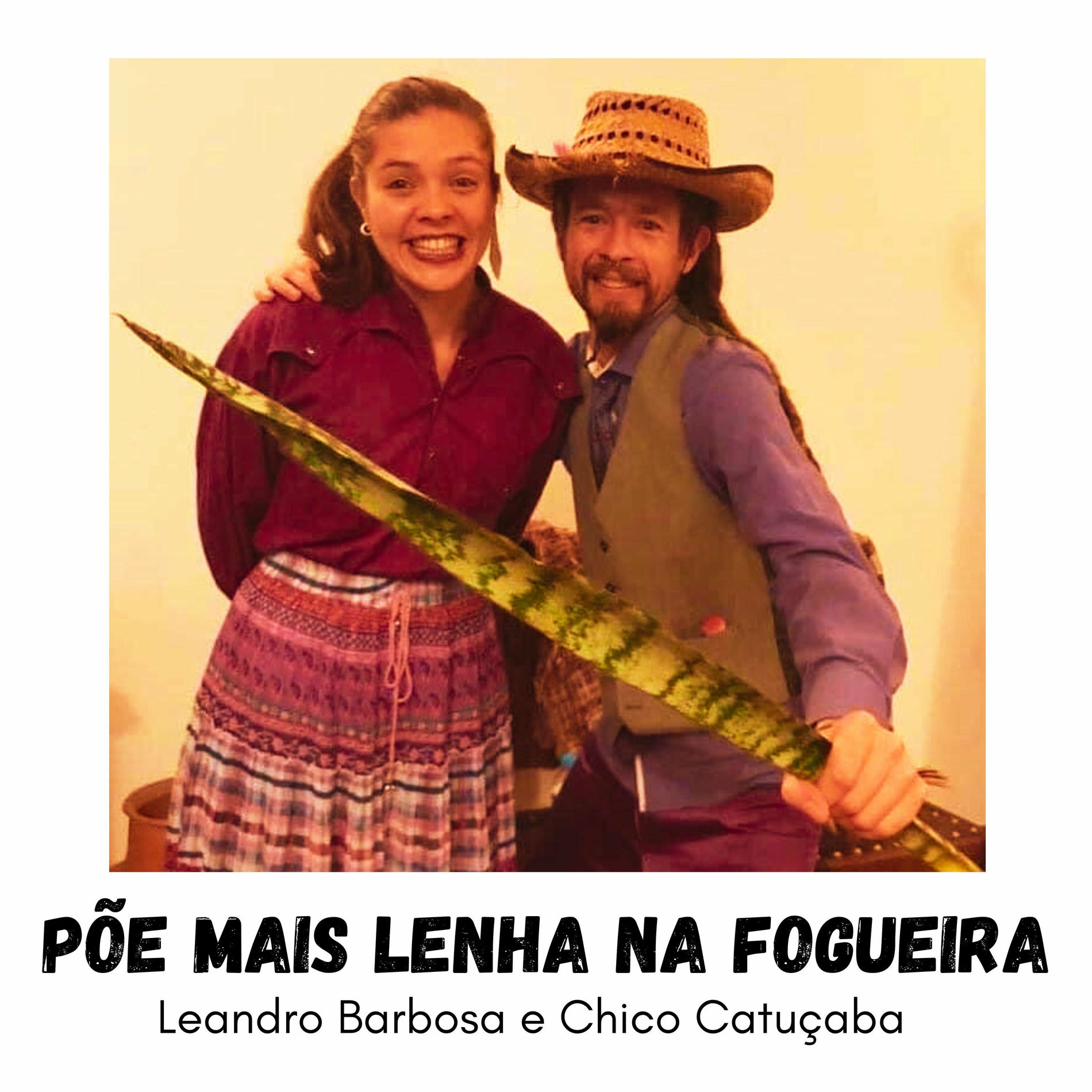 Album cover of Põe Mais Lenha na Fogueira
