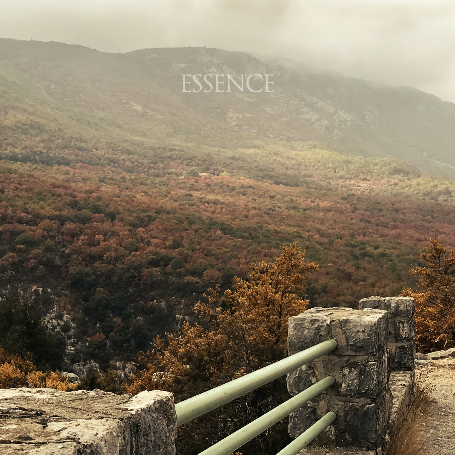 Album cover of caustics