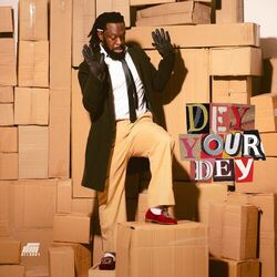 Cover of Dey Your Dey
