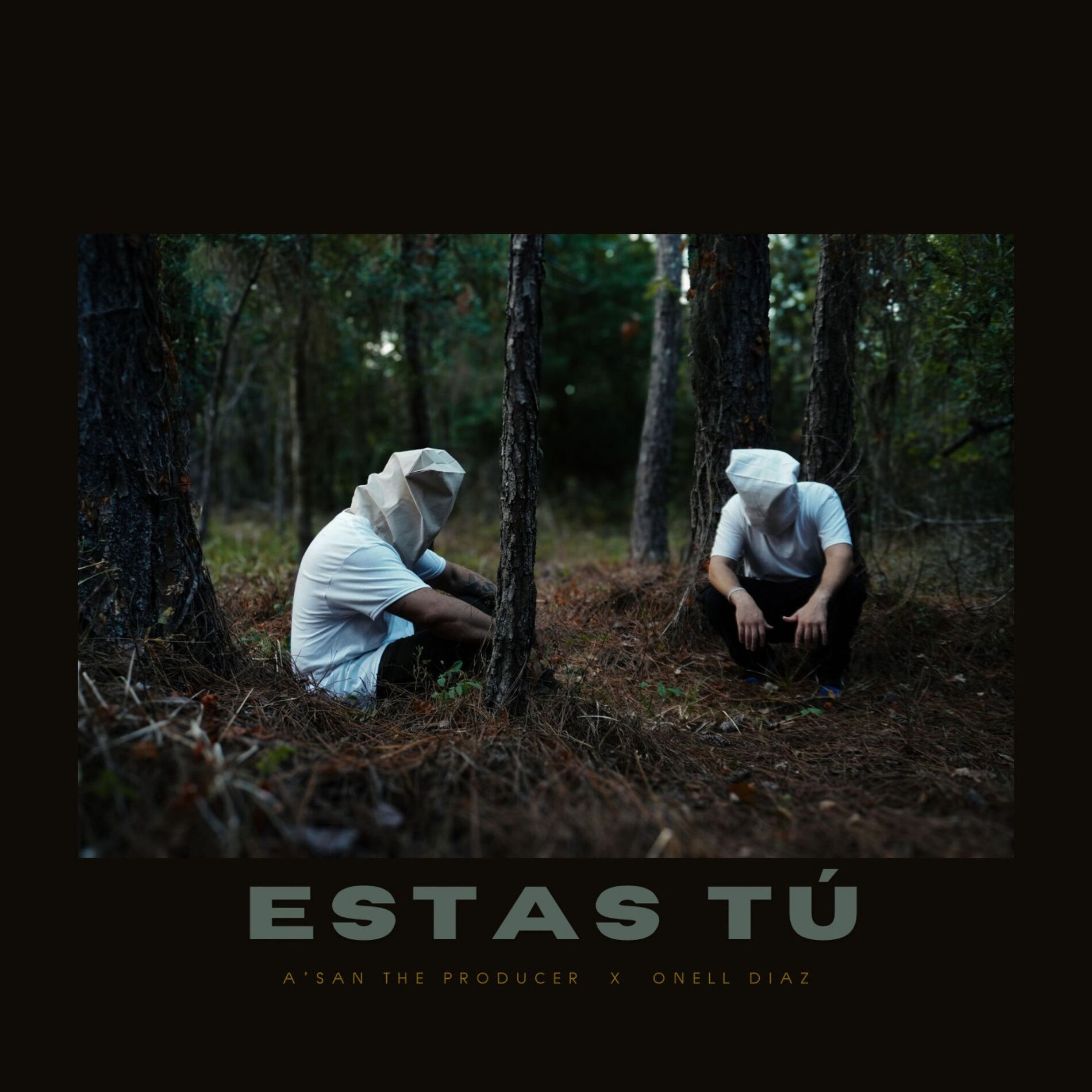 Album cover of Estas Tú
