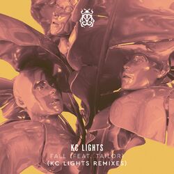 Cover of Fall (KC Lights Remixes)