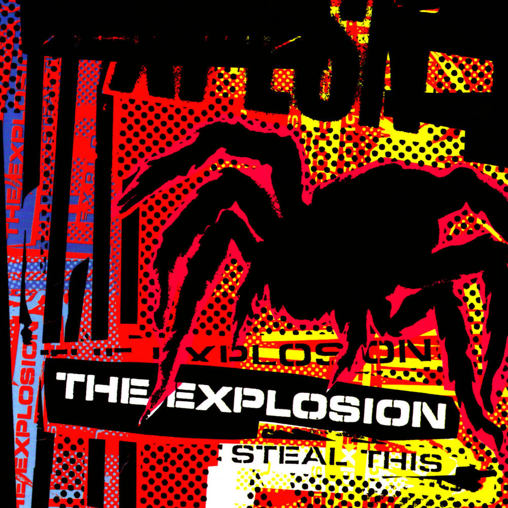 Picture of Steal This
