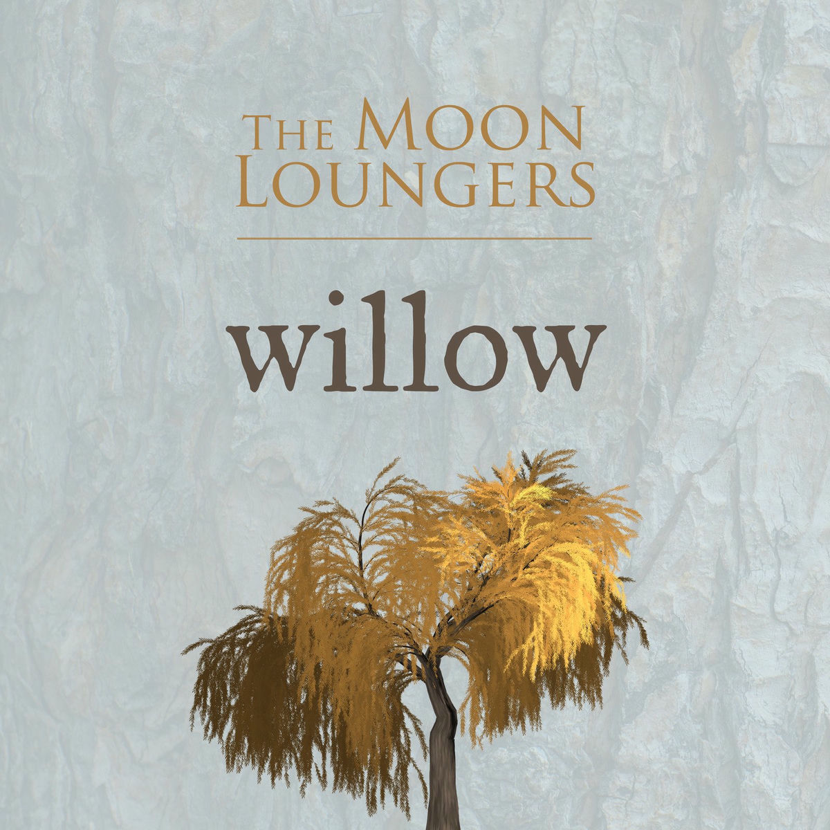 Album cover of Willow (Acoustic Cover)