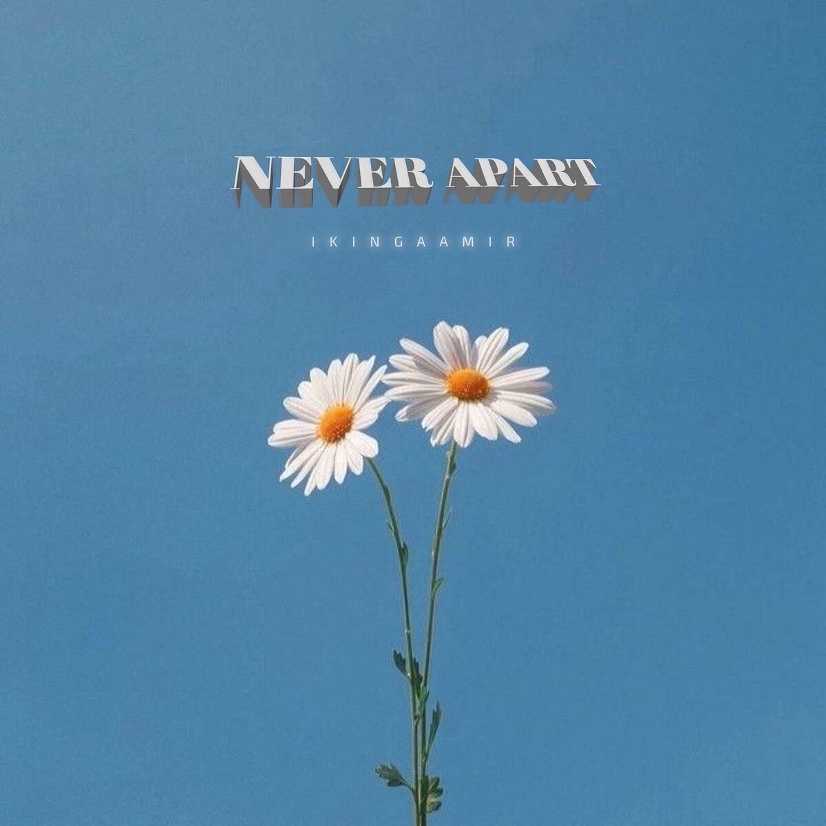 Album cover of Never Apart