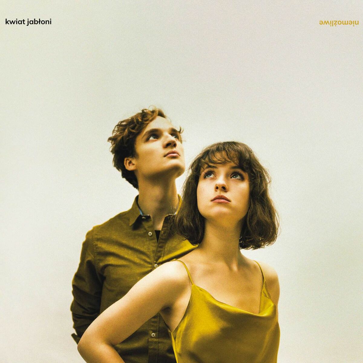 Album cover of Niemożliwe