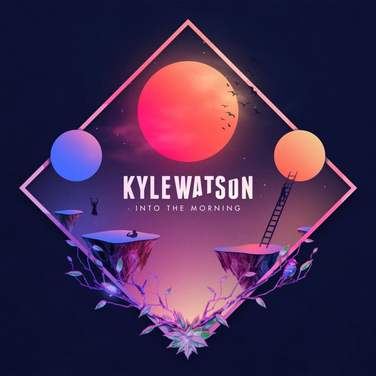 Album cover of Into The Morning