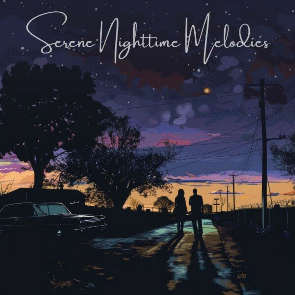 Picture of Serene Nighttime Melodies