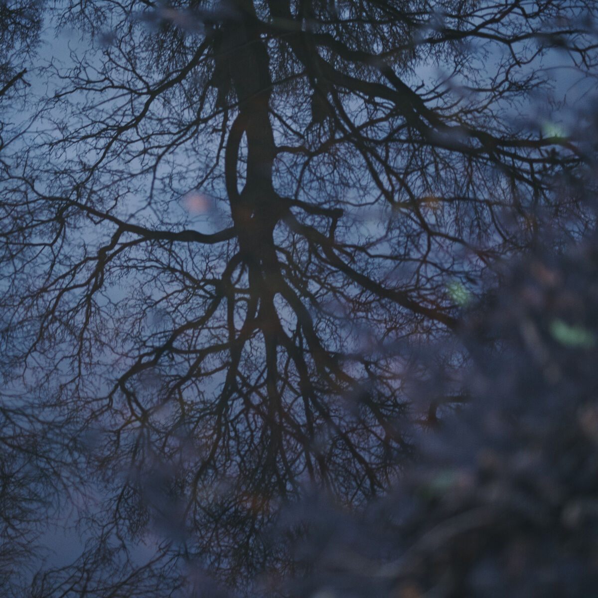 Album cover of Distancer