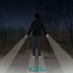 Cover of Self Made
