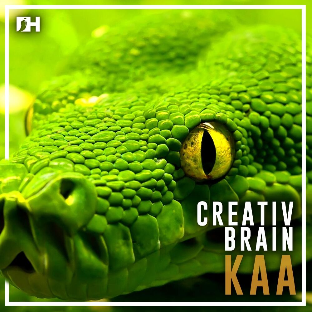 Picture of Kaa