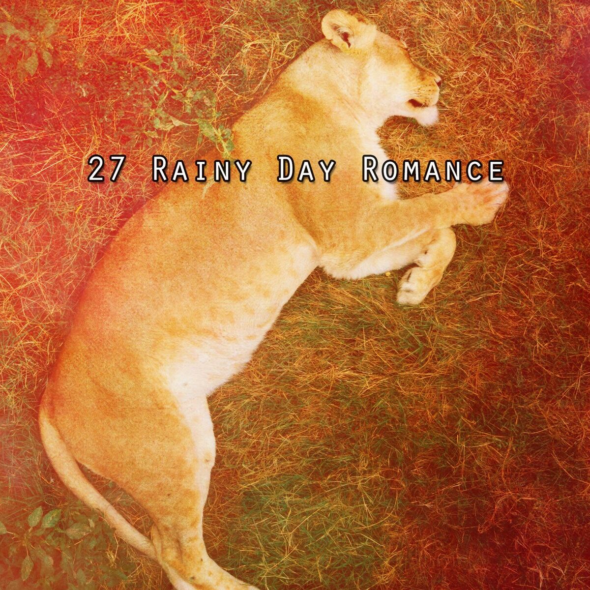 Album cover of 27 Rainy Day Romance