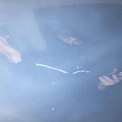 Cover of Smoke