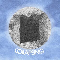 Cover of Collapsing