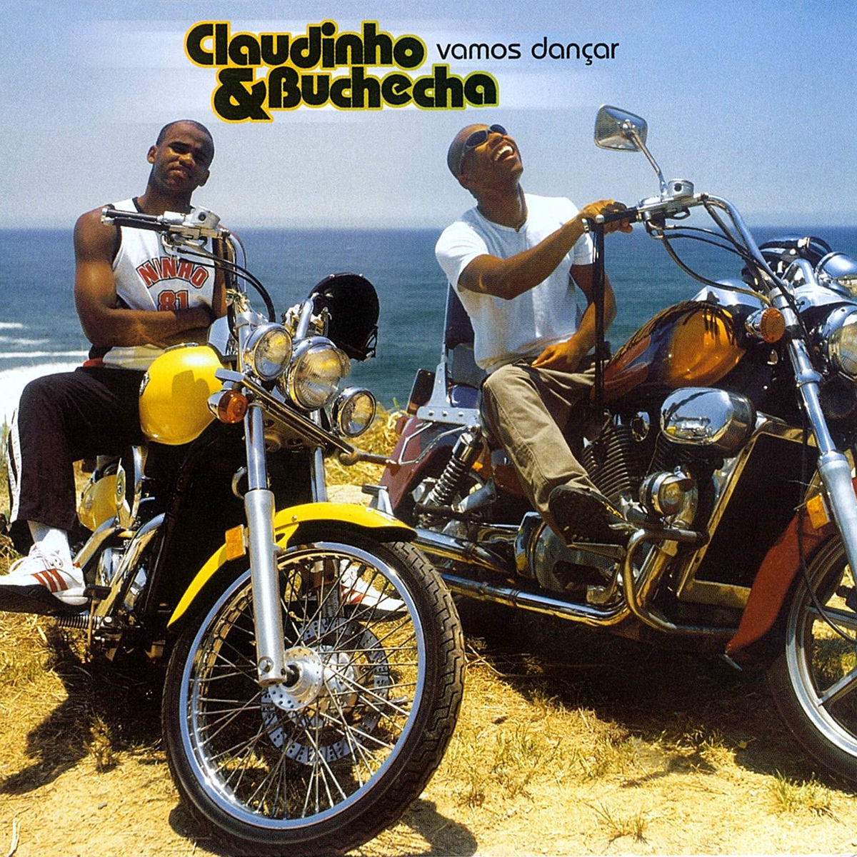 Album cover of Vamos Dançar