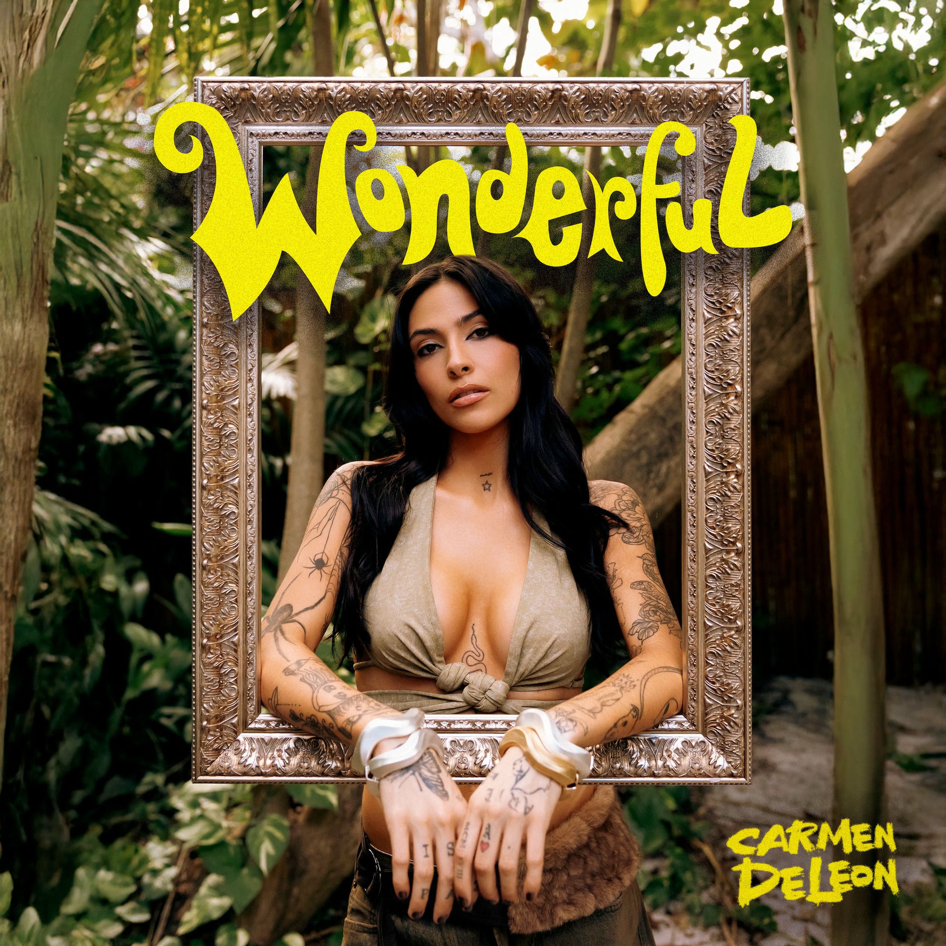 Album cover of Wonderful