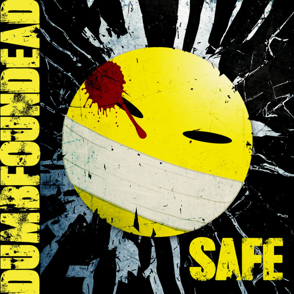 Picture of Safe
