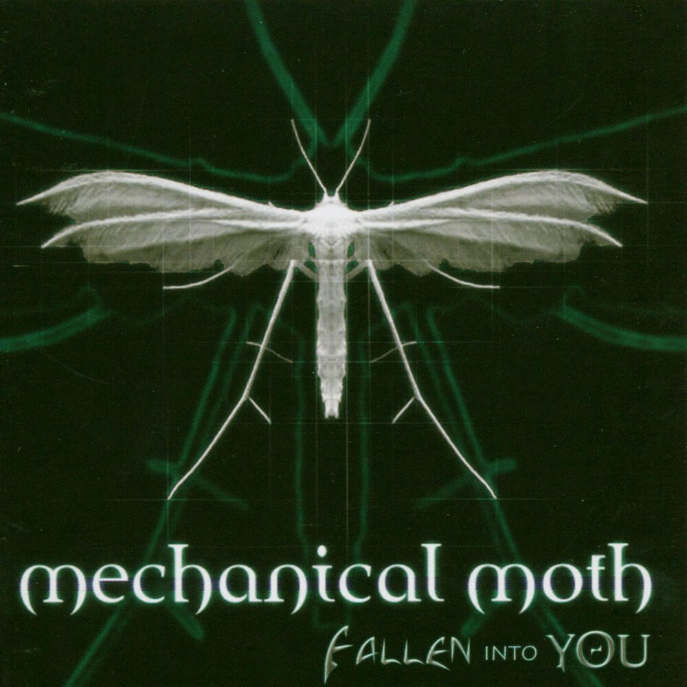 Picture of Fallen into You
