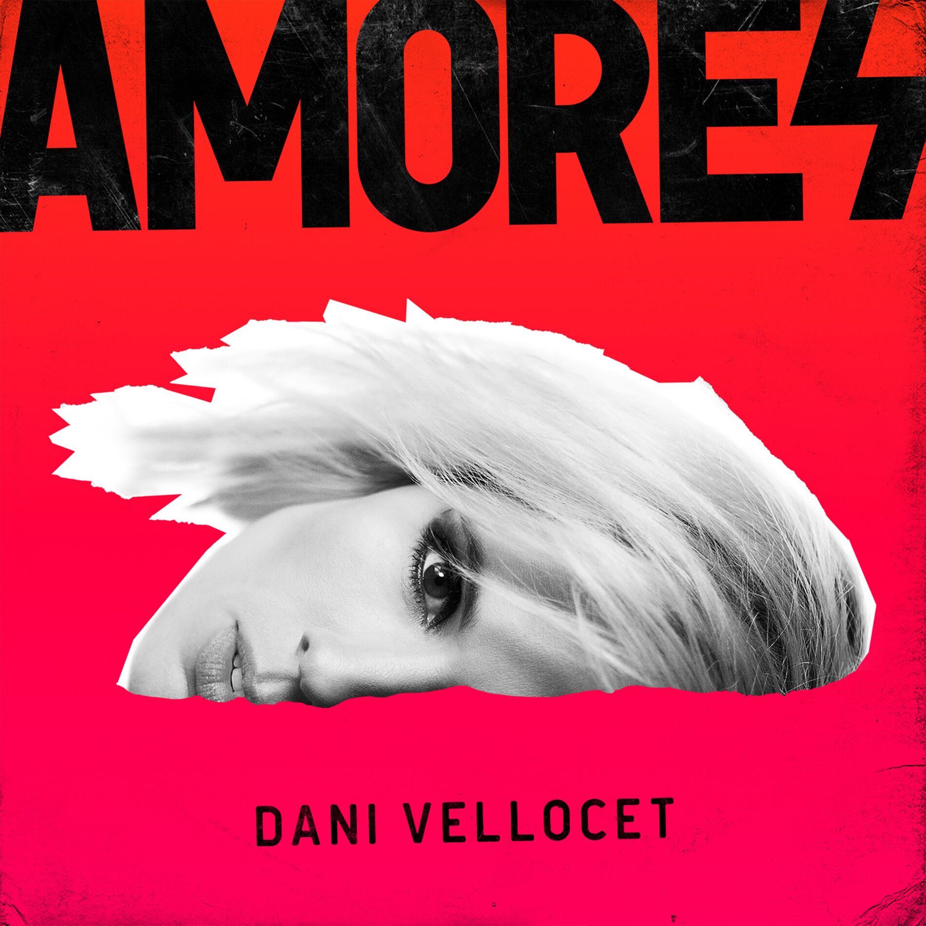 Album cover of Amores