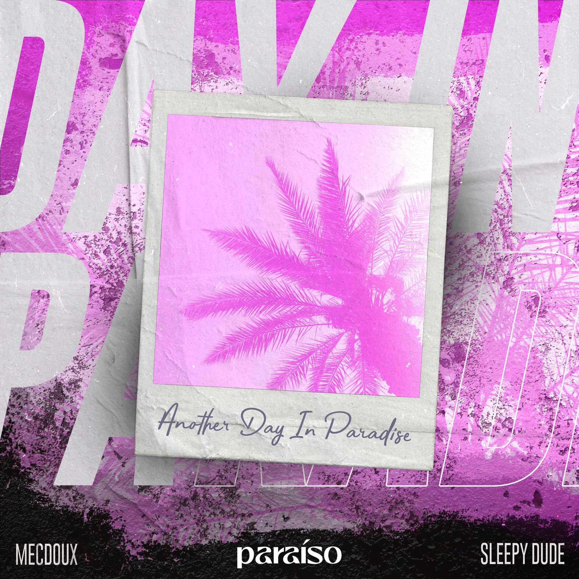 Album cover of Another Day In Paradise
