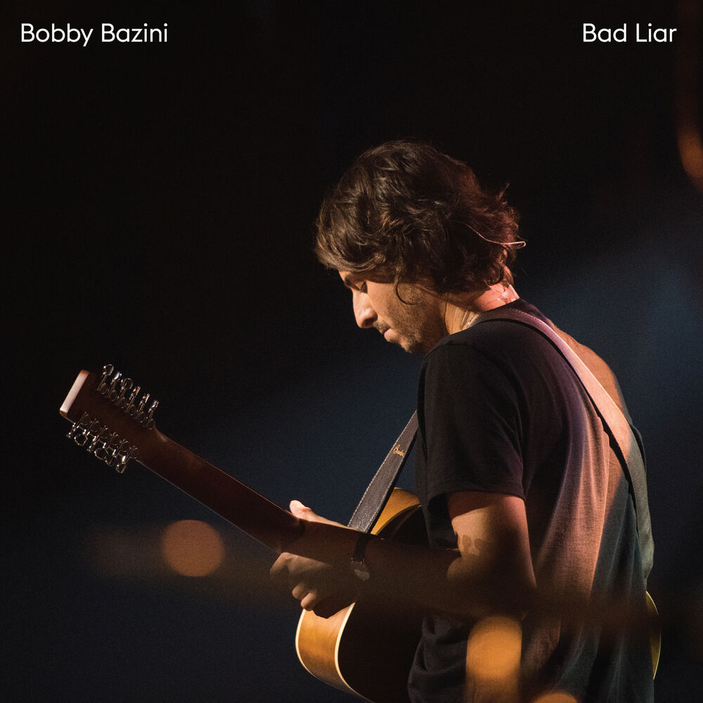 Picture of Bad Liar