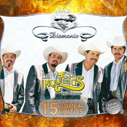 Cover of Serie Diamante - 15 Super Exitos