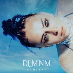 Cover of DLMNM