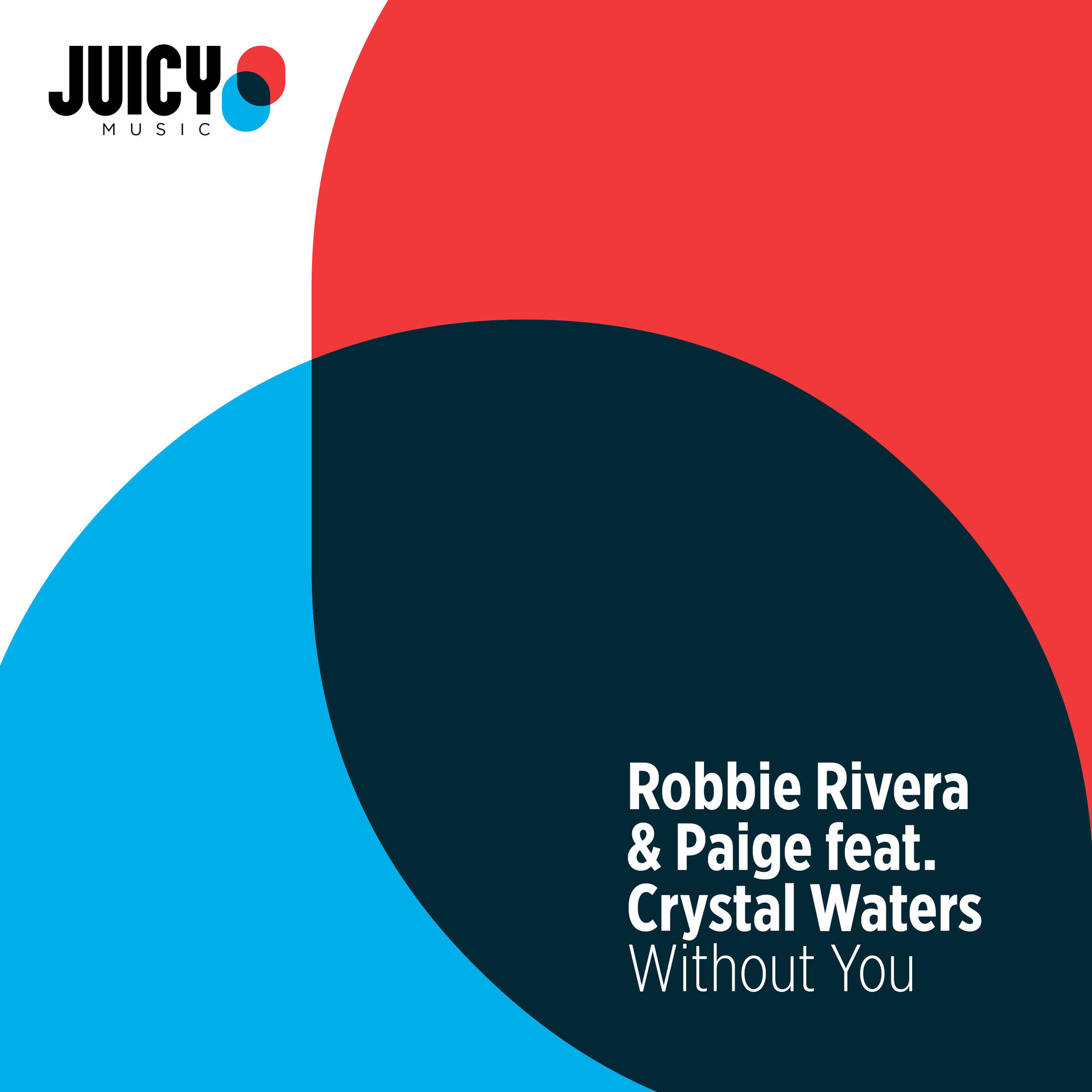 Album cover of Without You
