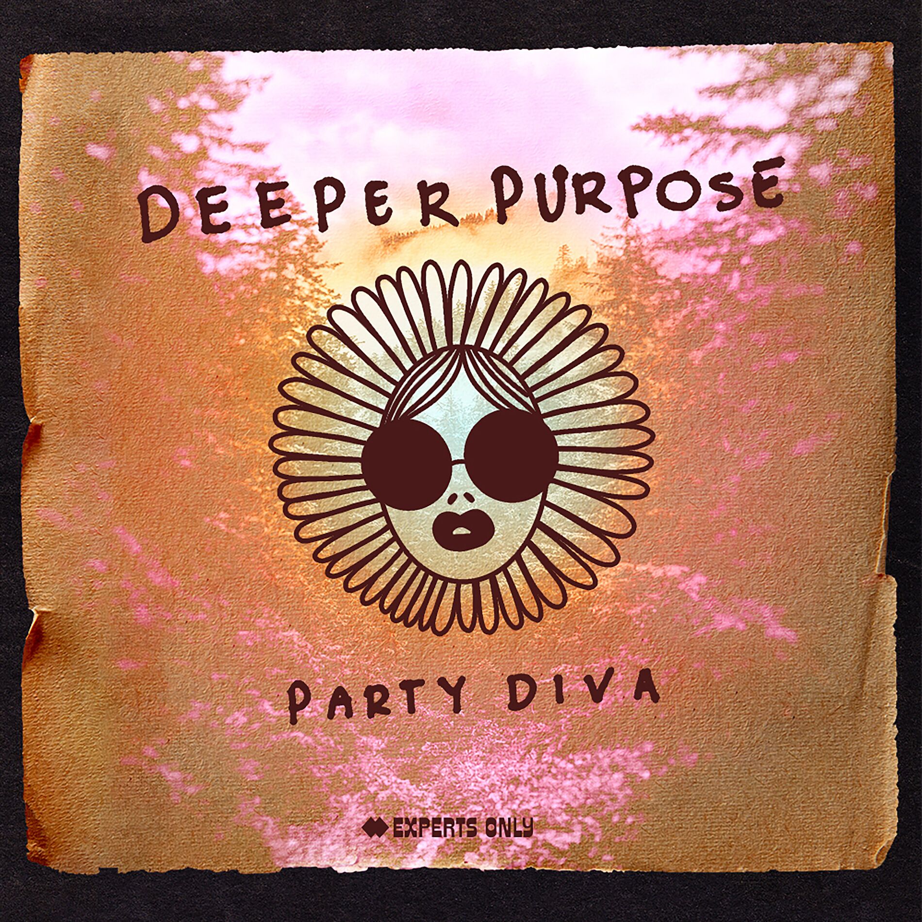 Album cover of Party Diva