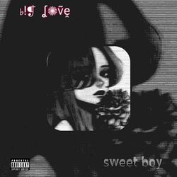 Cover of Big Love