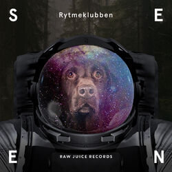 Cover of Seen