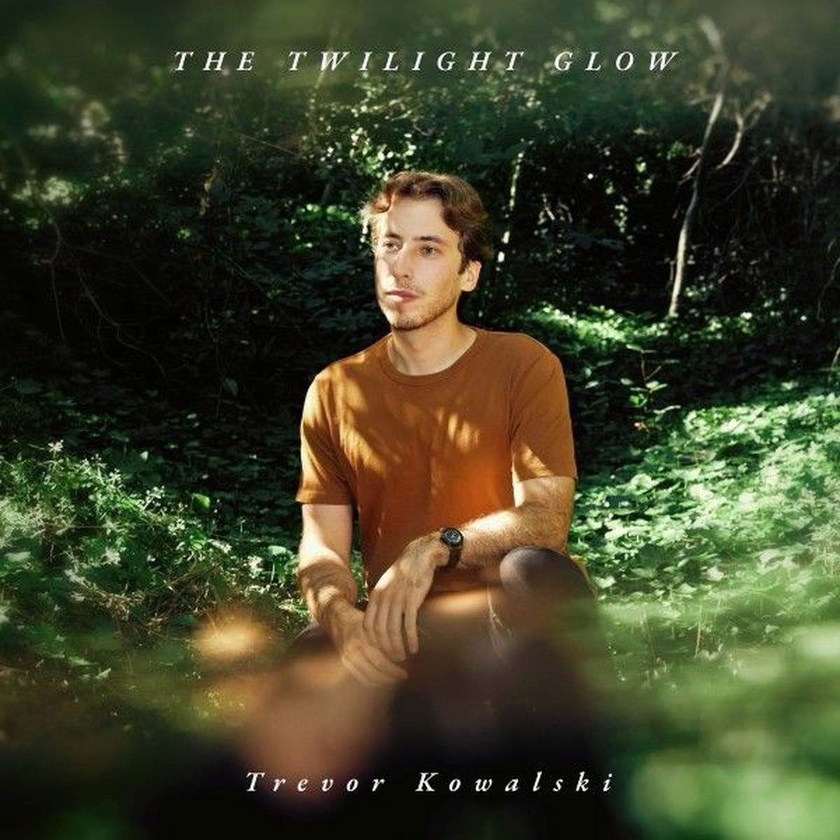 Album cover of The Twilight Glow