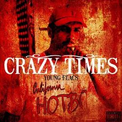 Cover of Crazy Times