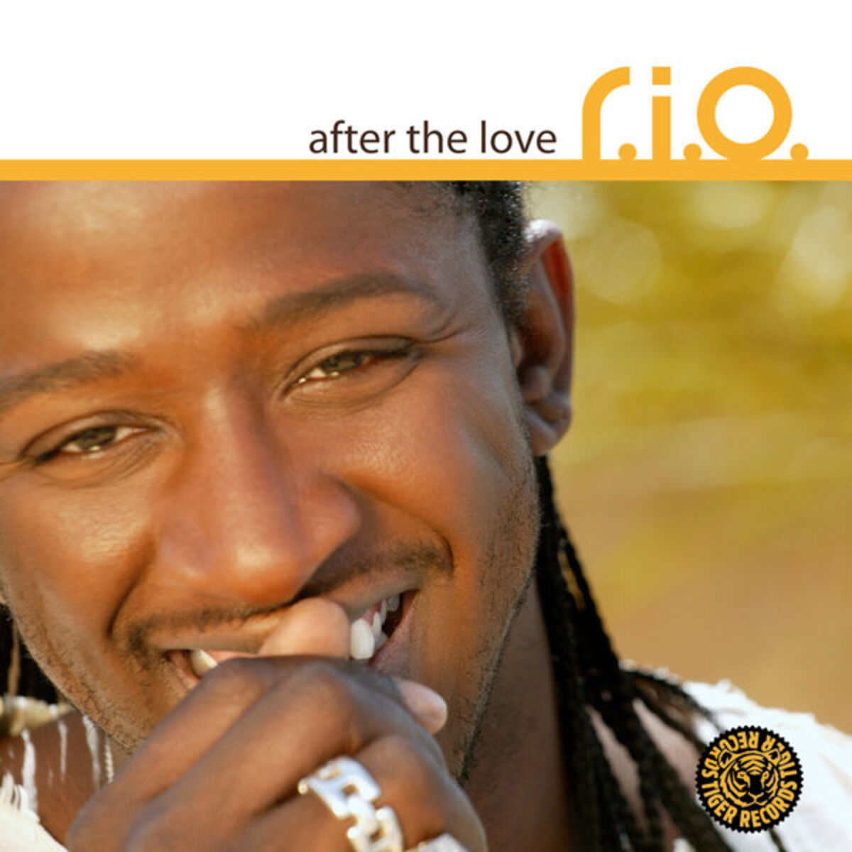 Album cover of After the Love