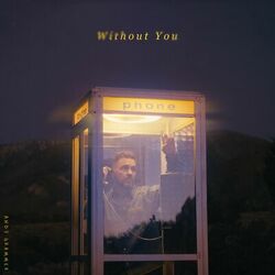 Cover of Without You