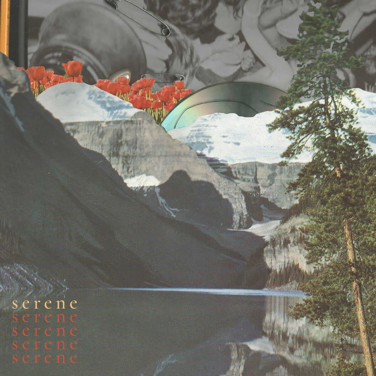 Album cover of serene