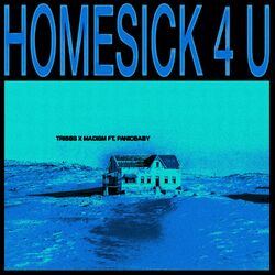 Cover of Homesick 4 U