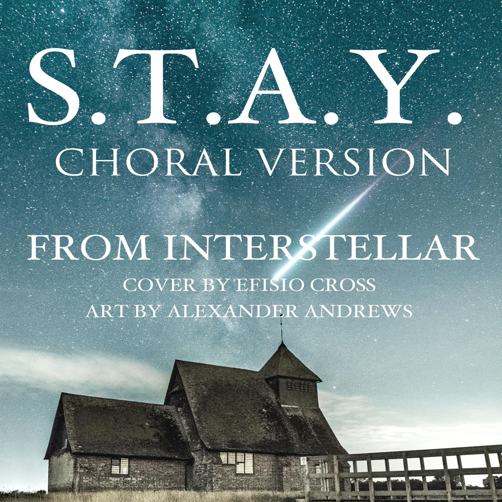 Album cover of S.T.A.Y.