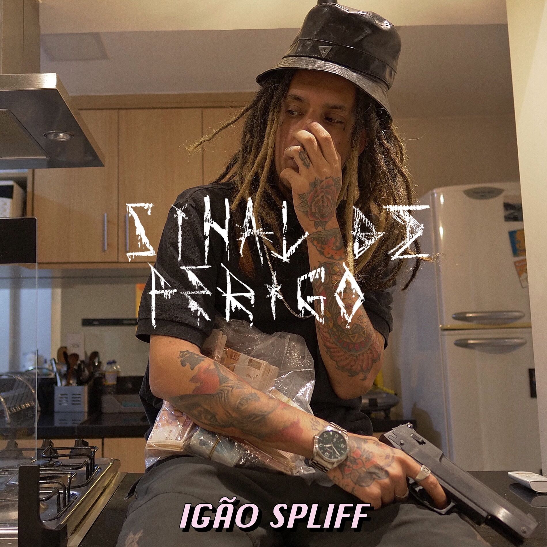 Album cover of Sinal de Perigo