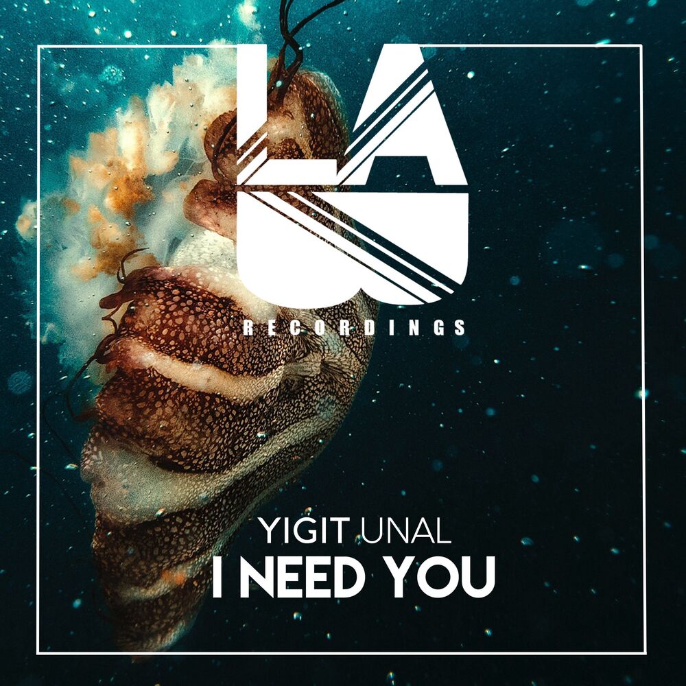 Picture of I Need You
