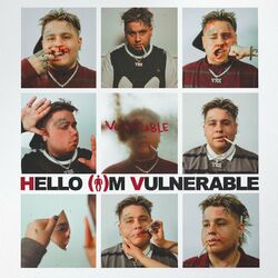 Cover of HELLO I'M VULNERABLE