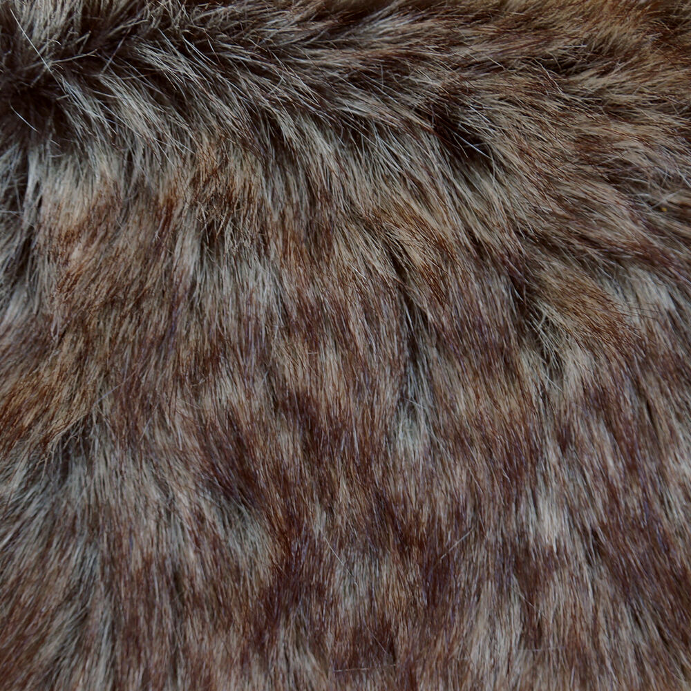 Picture of The Beard Album