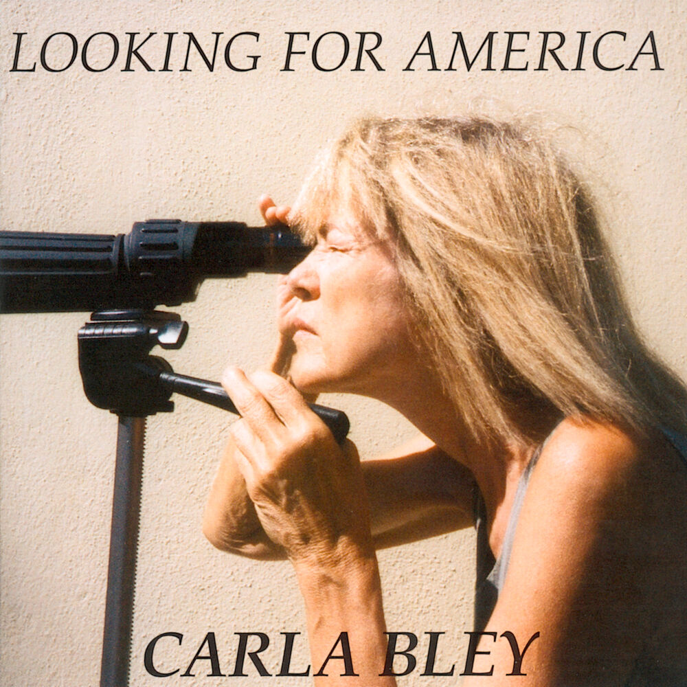 Picture of Looking For America
