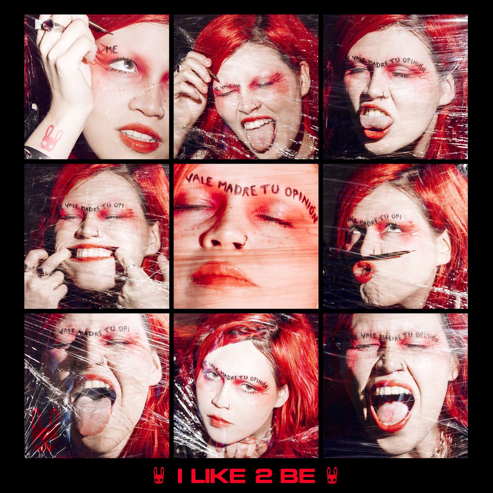 Album cover of I Like 2 Be