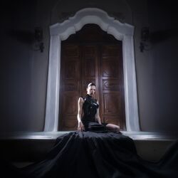 Cover of all night