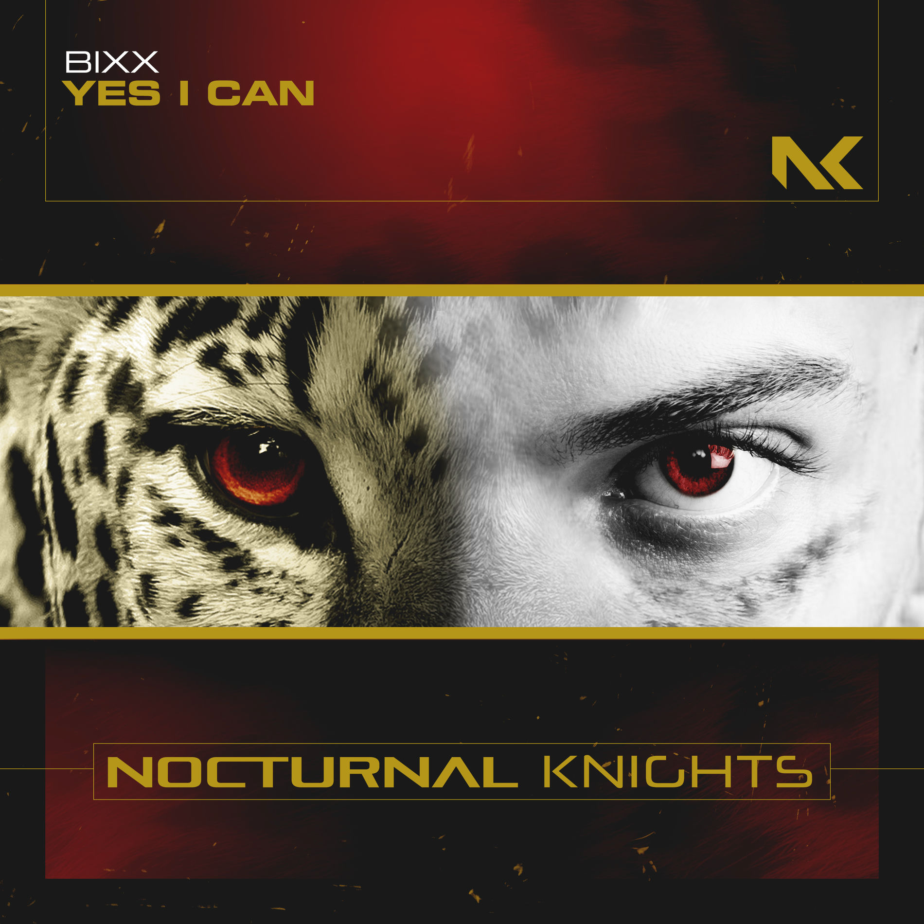 Album cover of Yes I Can